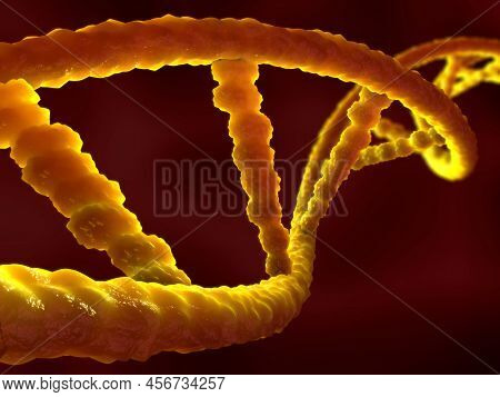 3d Illustration Of A Ribonucleic Acid Or  Dna Strand
