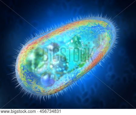 Transparent And Colorful Protozoa Or Unicellular Organism - 3d Illustration