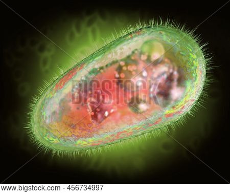 Transparent And Colorful Protozoa Or Unicellular Organism - 3d Illustration