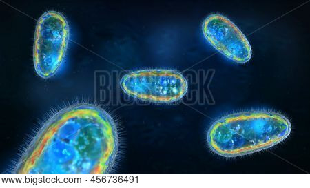 3d Illustration Of Floating Transparent And Colorful Protozoa Or Unicellular Organism
