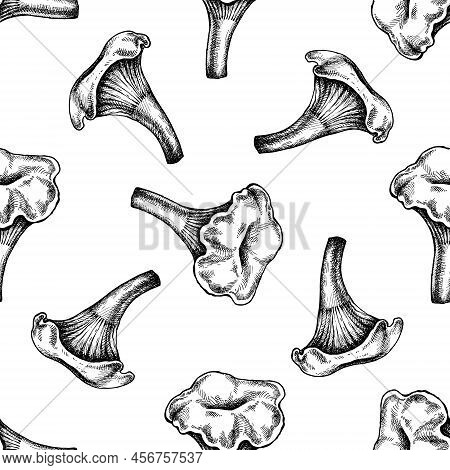 Seamless Pattern With Black And White Chanterelle Stock Illustration