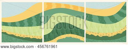 Abstract Agriculture Field Landscape Vector Illustration. Agro Farm Valley Background. Green Ecology