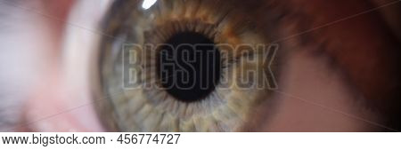 Female Gray Green Pupil With Eyelashes. Laser Vision Correction Concept