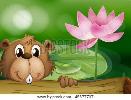 Illustration av en bäver bredvid en rosa blomma