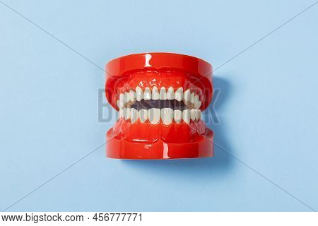 Clean Denture, Jaw Model, On A Blue Background
