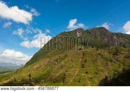 Aerial View Of Green Tea Plantation Against The Blue Sky And Clouds In The Mountains. Tea Estate Lan