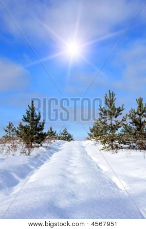 Estrada florestal sob a neve