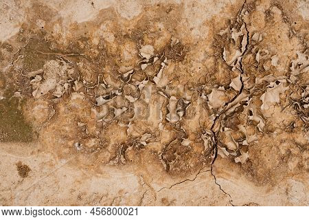 Brown Rusty Grunge Background. Abstract Texture Of Dry Clay Ground With Cracks. Backdrop For Design.