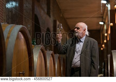 Senior Caucasian Tourist, Greybeard Elegant Man Tasting Red Wine In An Underground Wine Cellar Of Th
