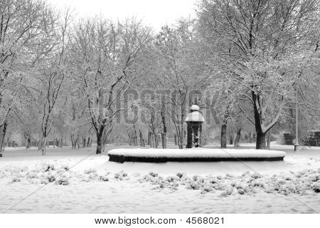 Vinter i parken