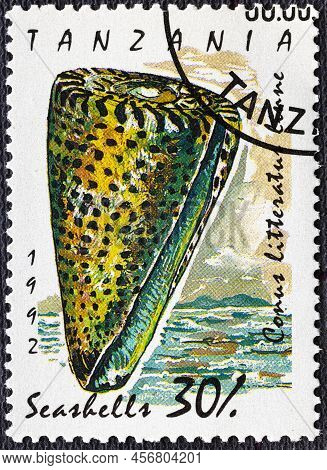 Tanzania - Circa 1992: A Stamp Printed In Tanzania Shows Lettered Cone Conus Literatus , Sea Snails 
