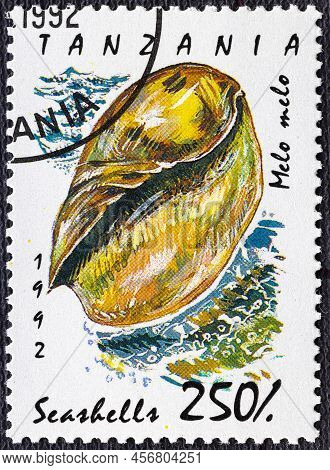 Tanzania - Circa 1992: A Stamp Printed In Tanzania Shows Melo Melo , Sea Snails And Mussels Serie.