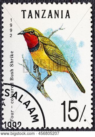 Tanzania - Circa 1992: A Stamp Printed In Tanzania Shows Four-colored Bushshrike Telophorus Quadrico
