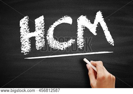 Hcm - Human Capital Management Is The Process Of Hiring The Right People, Managing Workforces Effect
