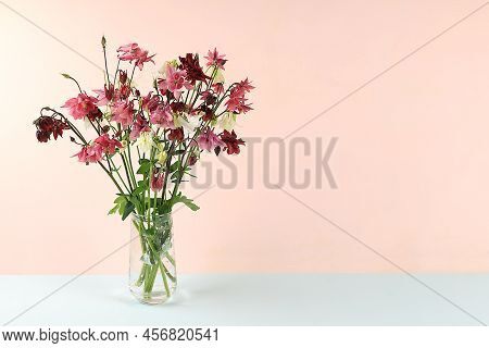 Bouquet With Aquilegia In A Vase, Flower Arrangement, Minimal Abstract Background For Cosmetic Produ
