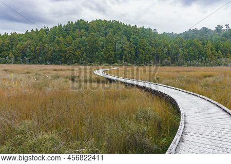 Wooden Walkway Winding Through Wetland Reed Towards Native Bush At Okarito, South Island New Zealand