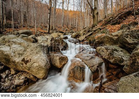 Czech Natural Reserve Called Jizerskohorske Buciny,jizera Mountain Beechwood, On Unesco List.unique 