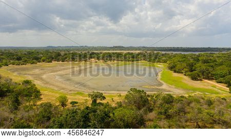 Drying Up Lakes And Swamps In The Kumana National Park, Sri Lanka.