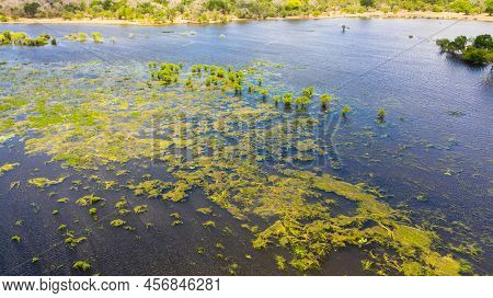 Lake With Birds And Wild Animals In A Tropical Jungle Reserve. Kumana National Park, Sri Lanka.