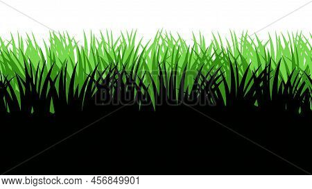 Grass. Nature Rural Landscape. The Pasture Is Overgrown. Overgrown Dense Lawn. Isolated On White Bac