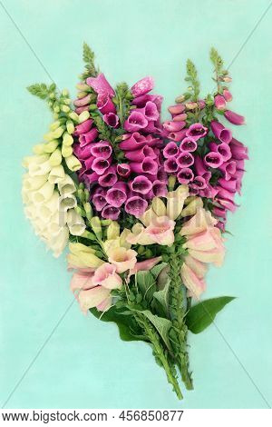 Summer Foxglove Wildflower Bouquet, Purple, Cream, Pink Colours Used In Herbal Plant Medicine To Tre