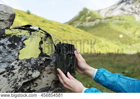 Female Hands Of Scientist Biologist Zoologist Sets Camera Trap For Observing Wild Animals In Summer 