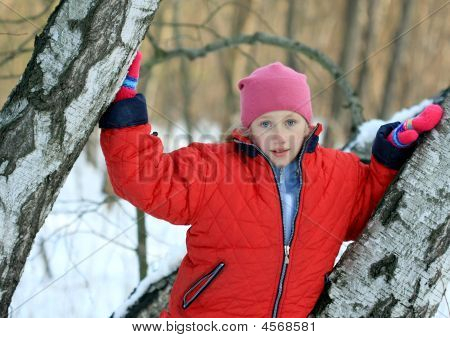 Yong flicka Amoun björkar i skogen