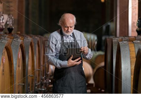 Caucasian Senior Man, A Graybeard Winemaker With Apron Checking Big Wooden Barrels In A Wine Cellar 