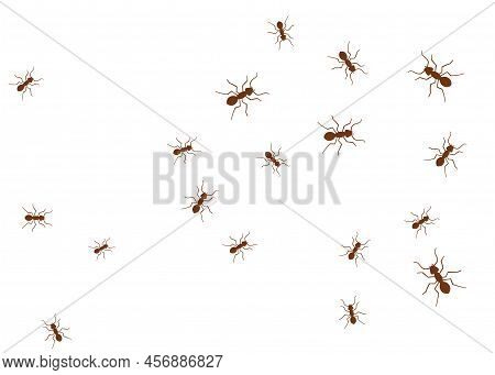 Ant Vector Trail Marching Illustration. Ant Bug Pest Control Background Teamwork