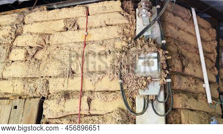 Old Electric Meter With Termites. Watt-hour Meter On Pole House With Termite Nest On Island Potentia