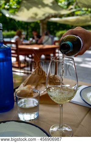 Pouring In Glass Of Txakoli Or Chacolí Slightly Sparkling Very Dry White Wine Produced In The Spanis