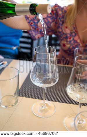 Drinking Of Txakoli Or Chacolí Slightly Sparkling Very Dry White Wine Produced In Spanish Basque Cou