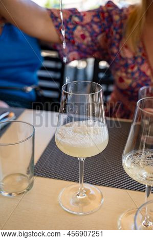 Drinking Of Txakoli Or Chacolí Slightly Sparkling Very Dry White Wine Produced In Spanish Basque Cou