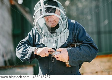 Senior Man Beekeper Collecting Honey From Honeycomb