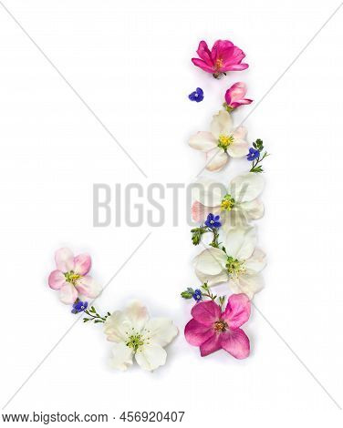 Letter J Of Flowers Apple Tree And Blue Wildflowers Forget-me-nots On White Background. Top View, Fl