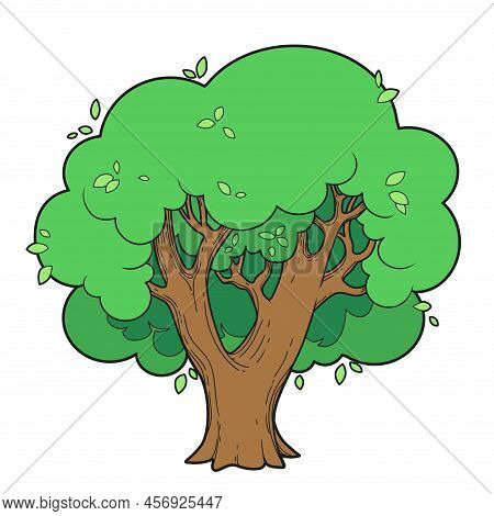Big Old Foliar Tree Linear Drawing For Coloring Isolated On White Background