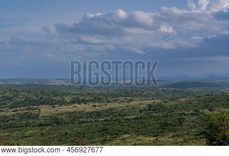 Hluhluwe Imfolozi Park Nature Reserve South Africa