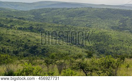 Hluhluwe Imfolozi Park Nature Reserve South Africa