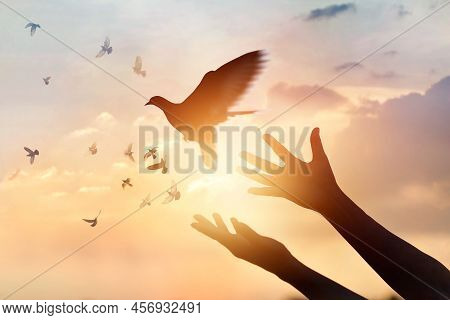 Woman Praying And Free Bird Enjoying Nature On Sunset Background, Hope Concept
