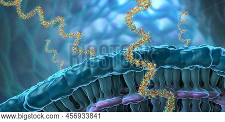 Ribonucleic Acid Strands Consisting Of Nucleotides Important For Protein Bio-synthesis - 3d Illustra