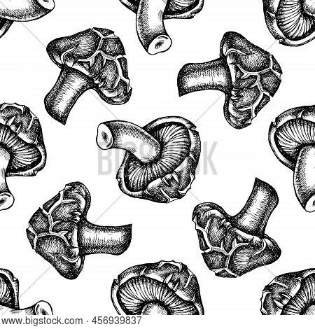 Seamless Pattern With Black And White Shiitake Stock Illustration
