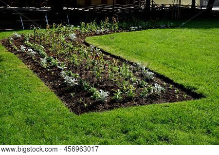 Planting Perennials In Flower Beds. Annual Rebates Are Various Crescent Trees Cut Between The Terrai
