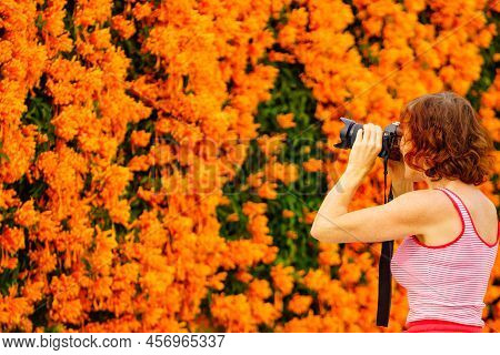 Tourist Mature Woman Taking Picture From Orange Flowers Hanging Over Spanish Garden Fence. Pyrostegi