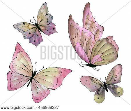 Set Of Watercolor Buterfly, Isolated On White Background