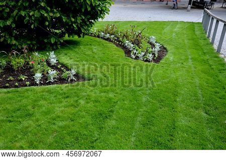 Planting Perennials In Flower Beds. Annual Rebates Are Various Crescent Trees Cut Between The Terrai