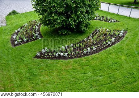 Planting Perennials In Flower Beds. Annual Rebates Are Various Crescent Trees Cut Between The Terrai