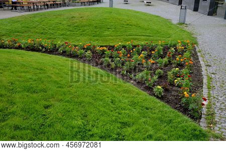 Planting Perennials In Flower Beds. Annual Rebates Are Various Crescent Trees Cut Between The Terrai