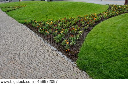 Planting Perennials In Flower Beds. Annual Rebates Are Various Crescent Trees Cut Between The Terrai
