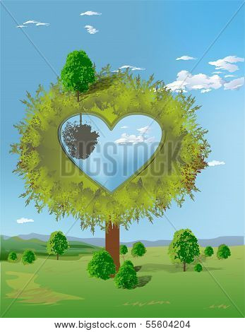 lonely tree,