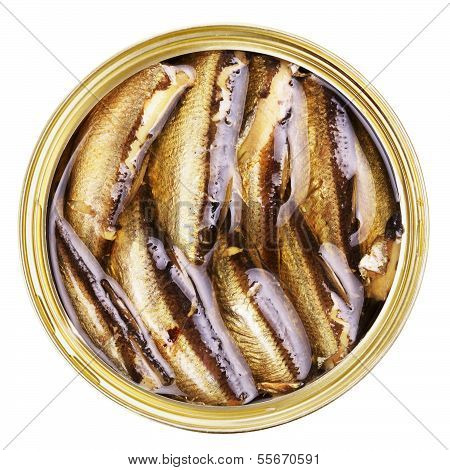 geÃ¶ffnete tincan